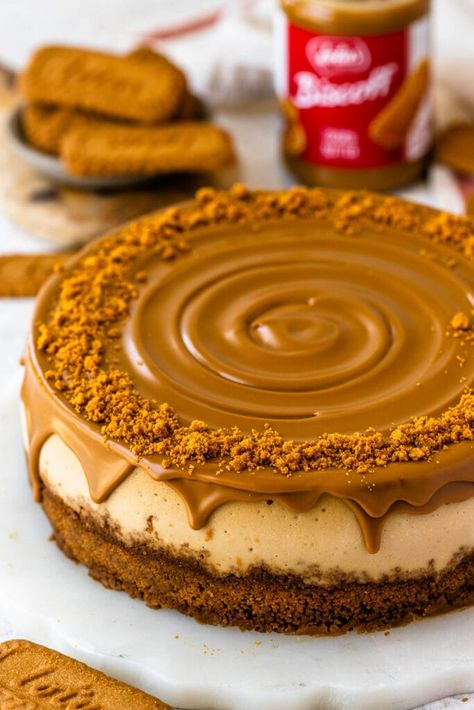 Biscoff Cheesecake Decoration, Biscoff Cheesecake Baked, Lotus Cheesecake Decoration, Lotus Cheesecake Recipe, Lotus Biscoff Recipes, Cheesecake Birthday Cake, Cheesecake Biscoff, Cheesecake Lotus, Cheesecake Birthday