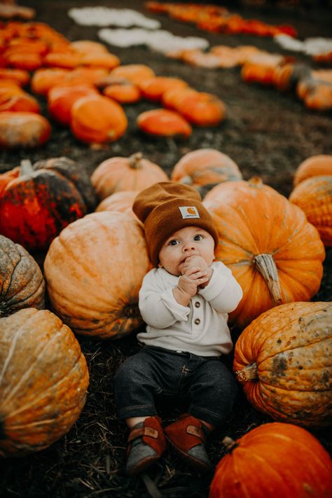 Pumpkin Patch Infant Photos, Baby In A Pumpkin Photoshoot, 3 Month Pumpkin Pictures, Pumpkin Patch Photos With Baby, Baby With Pumpkin Pictures, Family Photos At Pumpkin Patch, Diy Baby Pumpkin Photoshoot, 3 Month Old Pumpkin Pictures, Fall Pumpkin Patch Photo Shoot Family