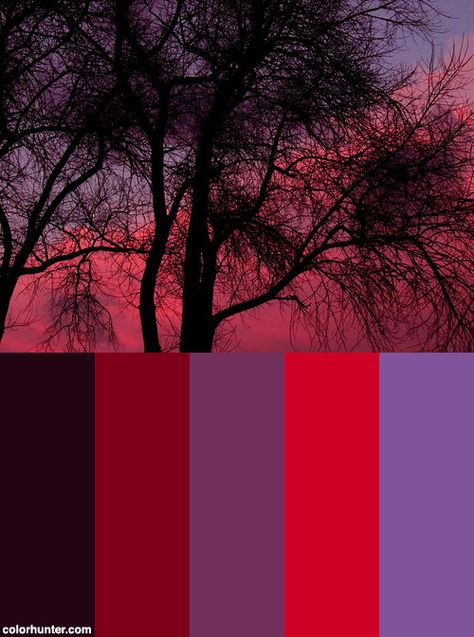 Goth Colors, Moody Purple Color Palette, Red Purple Color Scheme, Red Purple Color Palette, Red Purple Wedding Color Schemes, Dusk Color Palette, Purple Red Color Palette, Red And Purple Outfit, Red And Purple Aesthetic