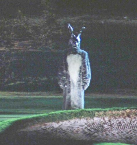 Donnie Darko Aesthetic, Donnie Darko Rabbit, Smurf Village, 2560x1440 Wallpaper, Film Reel, Donnie Darko, Dreamcore Weirdcore, Gothic Aesthetic, Jake Gyllenhaal