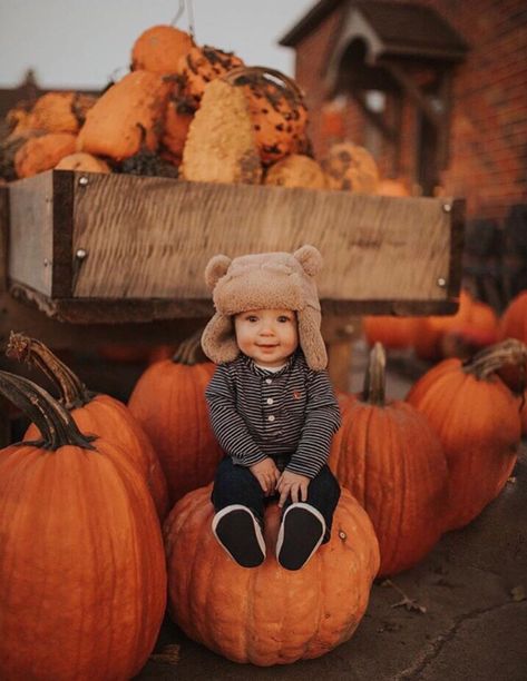 Pumpkins Patch Pictures, Fall Pumpkin Patch Photo Shoot Family, Pumpkin Patch Pictures Family, Diy Pumpkin Patch Photo Shoot, Toddler Pumpkin Photoshoot, Pumpkin Patch Pictures Kids, Pumpkin Photoshoot Kids, Pumpkin Patch Kids Photoshoot, Toddler Pumpkin Patch Photos