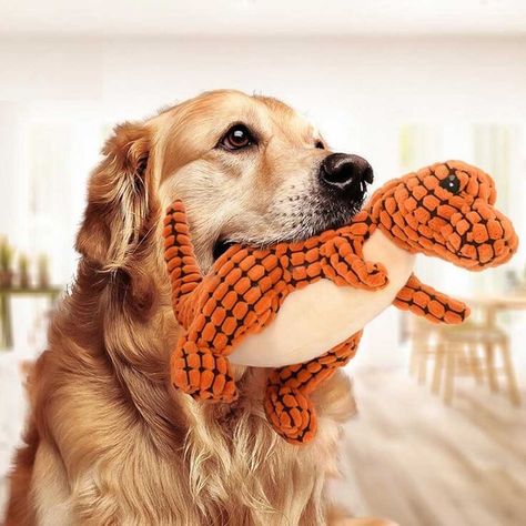 Petalk Various Pet dogs toy Pet Puppy Chew Squeaky Plush Velvet Sound Toys For Dog Puppy Toy Chihuahua, Dog Toys Indestructable, Puppy Chewing, Giant Dogs, Dog Tips, Dog Ideas, Dinosaur Plush, Interactive Dog Toys, Plush Dog Toys