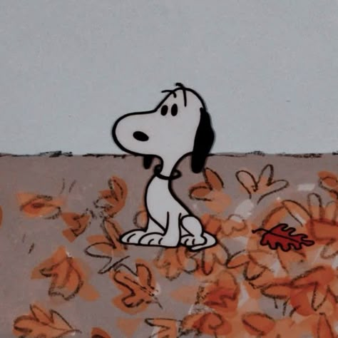 snoopy peanuts icon pfp avi for fall autumn aesthetic home screen design Pfp Snoopy, Widgets Fall, Fall Phone Theme, Fall Snoopy, Snoopy Pfp, Halloween Profile Pics, Fall Pfp, Halloween Profile, Snoopy Fall