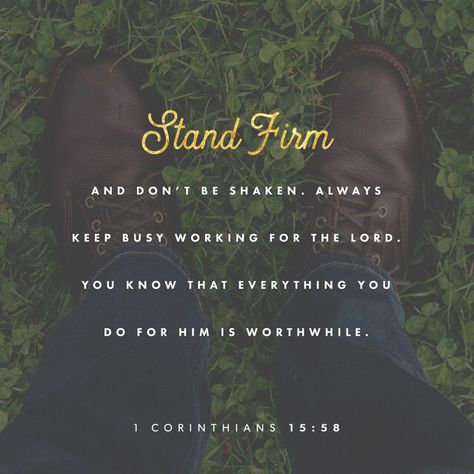 Work For The Lord, Godly Life, Stand Firm, Daily Bible, Verse Of The Day, Verse Quotes, Scripture Verses, Holy Bible, Bible Scriptures