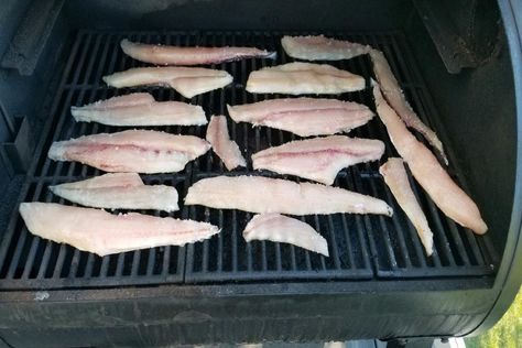 The Best Spanish Mackerel EVER Fish Filet Recipes, Fish Bbq, Italian Drunken Noodles, Filet Recipes, On The Smoker, Fish Marinade, Smoked Mackerel, Mackerel Recipes, Mackerel Fish