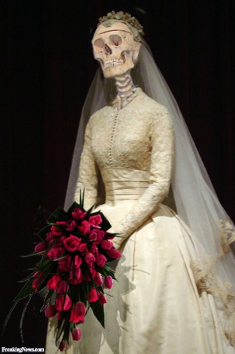 Skeleton bride Brides Pictures, Skeleton Bride, Photoshopped Pictures, Skeleton Funny, Skeleton Girl, Funny Bride, Bride Pictures, Funny Skeleton, Skeleton Art