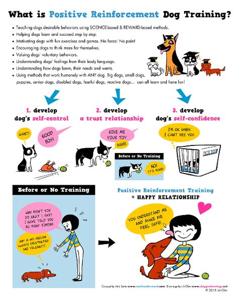 Positive Reinforcement Dog Training, Disabled Dog, Reactive Dog, Easiest Dogs To Train, Dog Training Techniques, Dog Help, Dog Poster, Dog Training Collar, Obedience Training