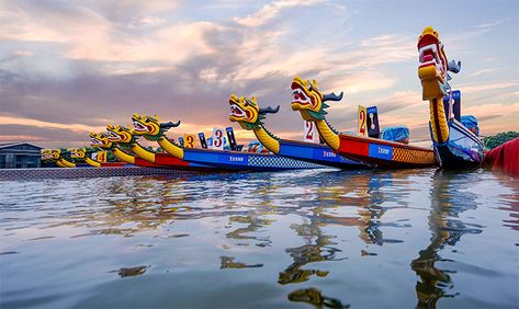 Dragon Boating, Dragon Boating Racing, Racing Quotes, Boat Racing, Chinese Festival, Boat Projects, Race Training, River Delta, Dragon Boat Festival