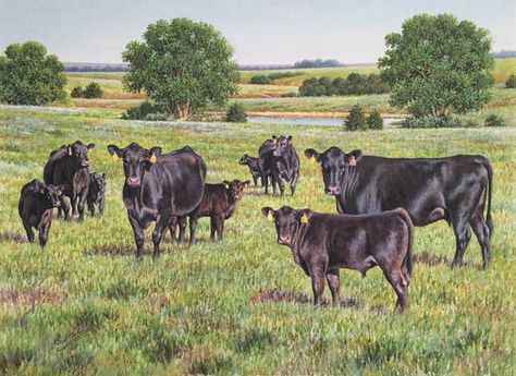 The Cattleman's Kind - Print/Buy - Kansas Angus Association Black Angus Cow Painting, Cattle Pictures, Angus Cows, Farm Animal Paintings, Rustic Painting, Cow Photos, Show Cattle, Cow Pictures, Western Artist