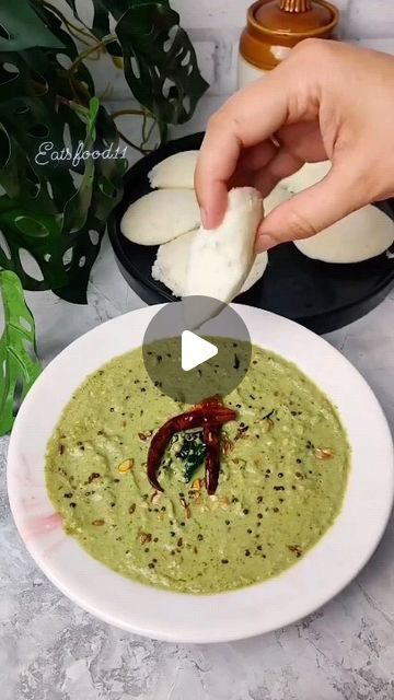 MSK FOOD II FOODIES II Multi Cuisine on Instagram: "Green Coconut Chutney For Idli Dosa  Ingredients Fresh Coconut 1 cup Roasted peanuts 1/2 cup Ginger 1 inch Green chilli 2 Coriander leaves Curry leaves Salt Water  For Tadka Oil 2 tsp Cumin seeds 1 tsp Mustard seeds 2 tsp Chana dal 1 tsp Urad dal 1 tsp Red chilli 3-4 Curry leaves  #coconutchutney #idlichutney #idlisambar #chutney #chutneyrecipes #coconutchutney #coconutbowl#verydelicious😋#yammyfood#verytesty" Idli Sambhar, Masala Idli, Chutney For Idli, Idli Chutney, Idli Sambar, Green Coconut, Idli Dosa, Chana Dal, Urad Dal