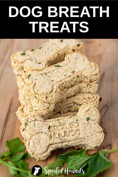 Homemade Dog Treats for bad breath are a healthy and natural way to freshen your dog's breath. Get the easy recipe and find out how to make the best dog breath treats with mint and parsley. These baked dog treats are great for freshening stinky doggie breath. Dog Treats For Bad Breath, Dog Breath Treats, Baked Dog Treats, Dog Biscuit, Dog Biscuit Recipes, Easy Dog Treats, Healthy Dog Treats Homemade, Dog Breath, Biscuit Recipes