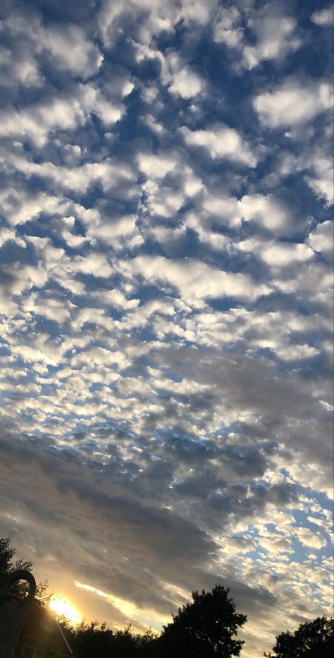 A blue sky full of small clouds with the sun i the corner Sky Pictures Real Life, Sky Full Of Clouds, Small Clouds, Irving Berlin, Sky Full, Sky Pictures, Blue Clouds, Sky And Clouds, Blue Skies