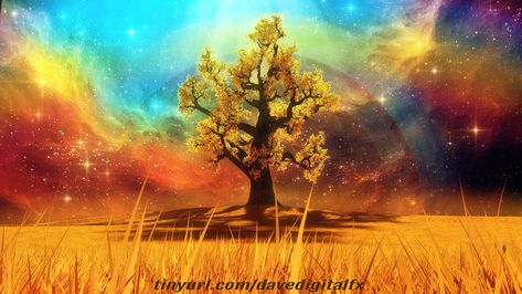 Old Tree in a Yellow Grass Meadow - Nature Fantasy Landscape, Dave FX on ArtStation at https://www.artstation.com/artwork/nEeJGO Beautiful Kingdom, Grass Meadow, Fantasy Oc, Golden Art, Minecraft Inspiration, Old Tree, Sound Effects, Videos Design, Fantasy Landscape