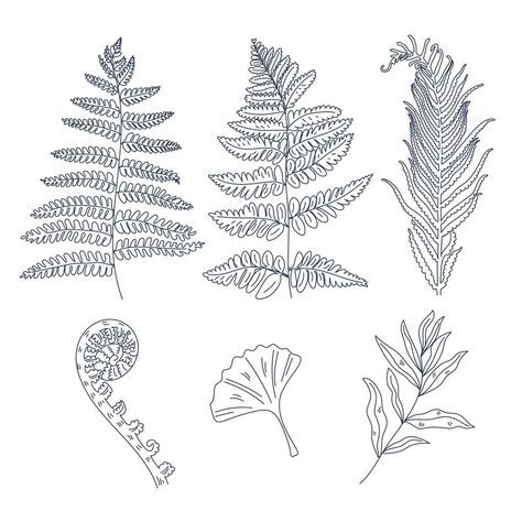 Fern Outline, Fern Stencil, Fern Drawing, Trailer Renovation, Engraving Designs, Potted Ferns, Fern Tattoo, Embroidery Stitches Beginner, Leaf Outline