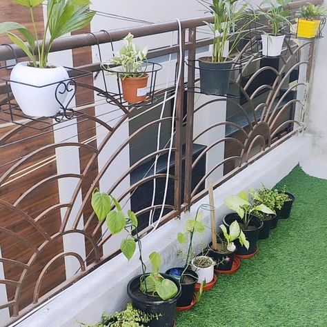 Balcony 🏡 decor idea - Which one is your favourite?? Plants from @urvann.india Follow @gardendreams90 #diy#diyminiatures #diybalconydecor #diygardendecor #plantphotography #plantmakespeoplehappy #gardening #gardeningideasandmore #gardeninspiration Plant Photography, Balcony Decor, Decor Idea, Which One Are You, Diy Garden Decor, Garden Inspiration, Balcony, India, Plants