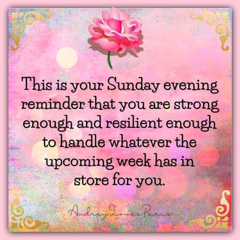 Sunday Evening Reminder, Blessed Sunday Quotes, Paparazzi Quotes, Special Friendship Quotes, Weekend Greetings, Evening Quotes, Afternoon Quotes, Body Shop At Home, Shopping Quotes