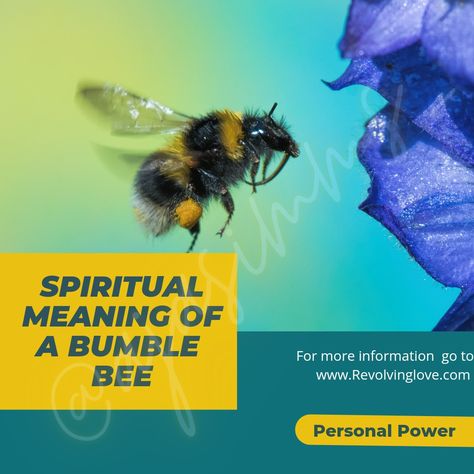 Spiritual Meaning of Bumble Bee 🐝 Blessings 💜 A'Ja Simms #BumbleBee #Bee #Spiritual #Meaning #Energy #Personal #Power #Nature #Focus #Productive #Build #Community #NatureHeals #InnerPeace #Wisdom #Motivation #Empowerment #Inspiration #Purpose #Revolvinglove @ajasimms_(Instagram) @RevolvingLove(Facebook Page) @4everaja(Twitter) @revolvinglove(Pinterest) www.Revolvinglove.com Bumblebee Spiritual Meaning, Bumble Bee Meaning, Bumble Bee Spiritual Meaning, Bumblebee Meaning, Bee Spiritual Meaning, Build Community, Astrology And Horoscopes, Spiritual Meaning, Personal Power