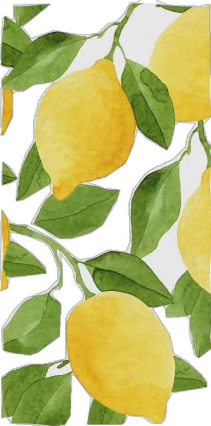 Sulu Boya Çalışmaları, Lemon Art, Lemon Patterns, Easy Canvas Art, Temporary Wallpaper, Watercolor Paintings Easy, Fruit Art, Mellow Yellow, Wrapped Canvas Art