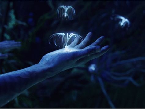 Soul Tree Avatar, Spirit Tree Avatar, Avatar Spirits, Avatar Gif, Nature Powers Gif, Seeds Of The Sacred Tree Avatar, Avatar The Way Of Water Spirit Tree, Avatar Sacred Tree, Sacred Tree