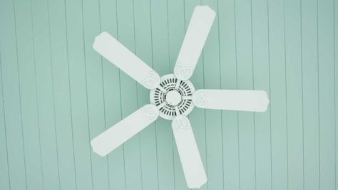 Ceiling Fan Hack, Ceiling Fan Blade Covers, Hampton Bay Ceiling Fan, Ceiling Fan Direction, Cleaning Ceiling Fans, Ceiling Fan Parts, Ceiling Fan Motor, Ceiling Fan Makeover, Ceiling Fans Without Lights