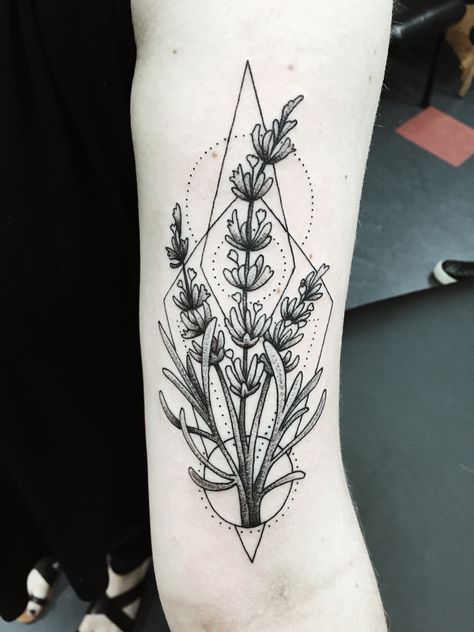 Randy Muller original piece:  - Eye Candy Tattoo - New Orleans, Louisiana #tattoo #lavender #lavendertattoo #botanical #botanicaltattoo #blackwork #thinneedle #thinneedletattoo #geometric #geometrictattoo Logan Tattoo, Candy Tattoo, Geometric Line Tattoo, Tattoo New, Fern Tattoo, Crystal Tattoo, Lavender Tattoo, Triangle Tattoos, Plant Tattoo