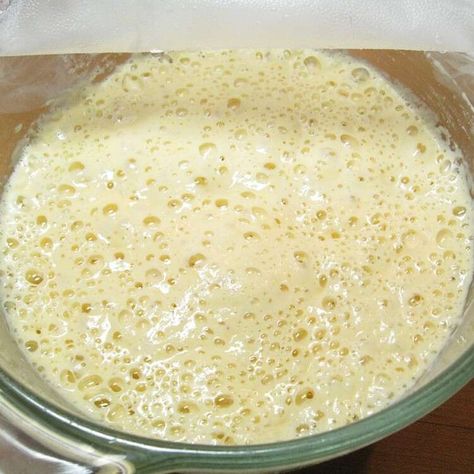 Ancestral Recipes, Salt Rising Bread, Appalachian Recipes, Bread Proofer, Yeast Free Breads, Yeast Starter, No Yeast Bread, Bread Starter, Western Pennsylvania