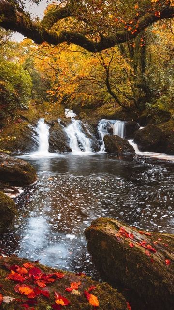 Ireland Autumn, Autumn Court, Seeing 444, West Cork, Fall Things, Instagram Autumn, Cork Ireland, Autumn Days, Wedding Aesthetic