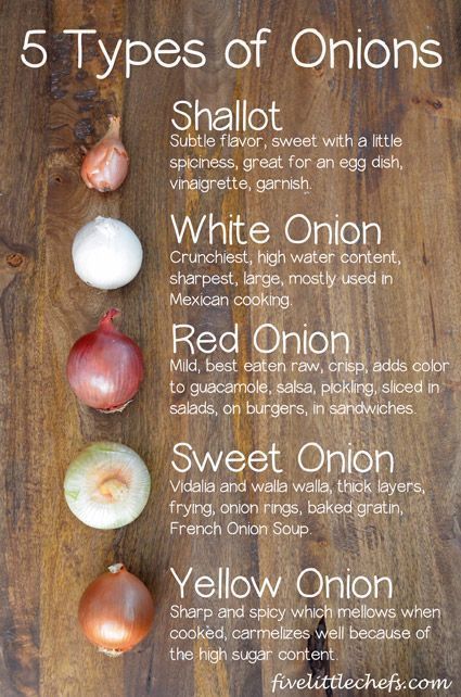 Types Of Onions, Chef Boyardee, Cooking 101, Mexican Cooking, Food Charts, Food Info, Think Food, Cooking Basics, Food Facts