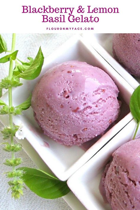 Homemade Blackberry and Lemon Basil Gelato recipe made with fresh blackberries and lemon basil grown in your garden. A delightful summer time dessert recipe #flouronmyface Basil Gelato, Italian Gelato Recipe, Sorbet Ice Cream, Gelato Recipe, Gelato Ice Cream, Coconut Ice Cream, Sorbet Recipes, Lemon Basil, Frozen Yoghurt