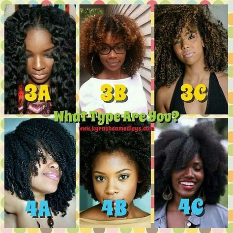 Stargirl Hairstyle, 4 C Hair, Hair Texture Chart, Hair Type Chart, Type 4c Hairstyles, Hair Motivation, Transitioning Hairstyles, Curly Hair Types, Girls Natural Hairstyles