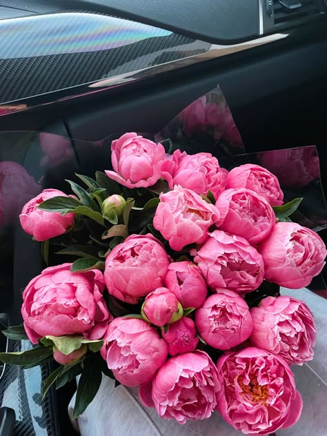 flower, pink flowers, peonies, aesthetic flowers, pink peonies, bouquet of peonies Peony Flowers Bouquet, Bouquet Of Peonies, Peony Pink, Peony Rose Bouquet, Winter Peonies, Pink Peony, Peonies Aesthetic, Peonies Pink Bouquet, Peonies Bouquet Aesthetic