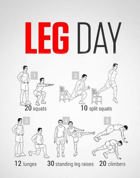 Work them legs! Leg Isolation Exercises, Leg Excersizes, Home Workout Routine, Calorie Workout, Workout Program Gym, Leg Workout At Home, Gym Workout Planner, Plyometric Workout, Leg Workouts