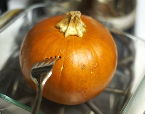 roast the pumpkin whole, how to Roast Whole Pumpkin, Roasting Pumpkin, How To Roast Pumpkin, Vegetarian Inspiration, Whole Pumpkin, Pumpkin Pulp, Leftover Pumpkin, Homemade Pumpkin Puree, How To Roast