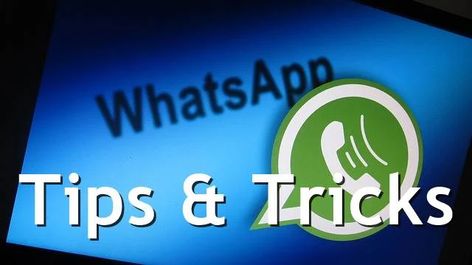 15 Latest WhatsApp Tips and Tricks 2021 for Social Messaging Mastery Whatsapp Pictures, Invert Colors, Whatsapp Profile Picture, Data Network, App Hack, Already Gone, Party Apps, Messaging App, Life Partners