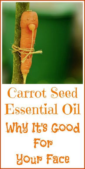 Carrot seed essential oil works great in DIY all natural sunscreen and anti-wrinkle recipes. Carrot Seed Oil Benefits, Anti Wrinkle Diy, All Natural Sunscreen, Carrot Seed Essential Oil, How To Plant Carrots, Anti Aging Remedies, Anti Wrinkle Treatments, Face Creams, Carrot Seed Oil