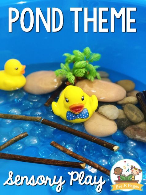 Duck Pond Sensory Bin for Preschool Duck Pond Sensory Bin, Pond Sensory Bin, Dayhome Activities, Pond Sensory, Pond Life Theme, Toddler Sensory Bins, Infant Lesson Plans, Pre K Pages, Preschool Projects