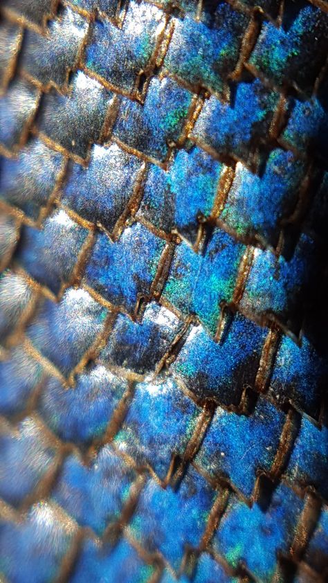 Blue Scales, Reptile Scales, Lizard Dragon, Inheritance Cycle, Snake Scales, Blues Scale, Dragon Tales, Blue Lizard, Water Dragon