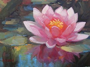 Water Lily Drawing, Pink Water Lily, Water Lilies Art, Lilies Drawing, Water Lilies Painting, Lotus Flower Art, Lotus Painting, Reflection Painting, Lily Painting