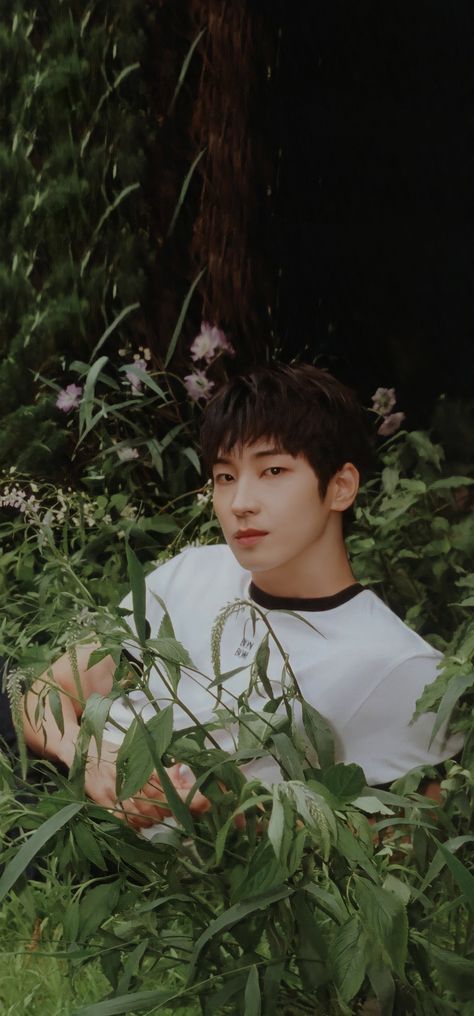 Wonwoo Green Wallpaper, Wonwoo Green, Wonwoo Lockscreen, Wonwoo Wallpaper, Jisoo Seventeen, Photo Scan, Won Woo, Seventeen Going Seventeen, Jeon Wonwoo