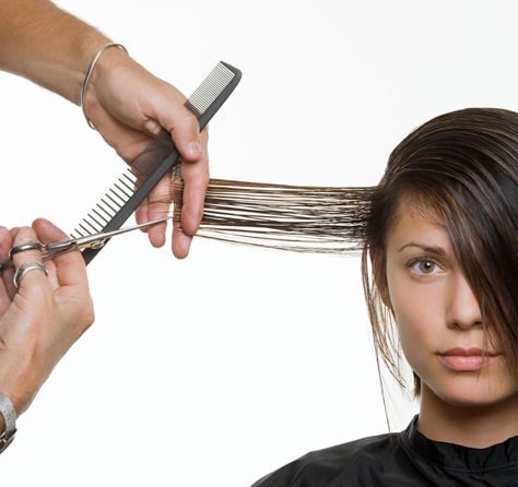 6 Fundamentals of Over Direction in Haircutting | Modern Salon French Beauty Secrets, Celebrity Beauty Secrets, Beauty Rules, Power Back, Shape Magazine, Hair Trim, A Haircut, Top Beauty Products, About Hair