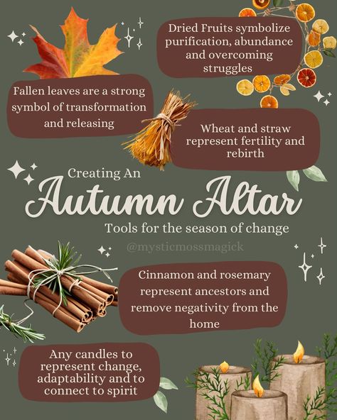 Each of these items and many more can help refresh your altar for the fall season. Including items that connect you to your ancestors, remind you of change and bring personal transformation as well as connecting you to the earths natural cycles is a great way to get in the mood for witchy season 🍂✨🌙🌿 Get access to more information like this and learn how you can celebrate the autumn season through witchcraft by purchasing the AUTUMN MAGICK newsletter through the link in my bio ✨ . . . #autum... Witchy Traditions, Fall Altar, Autumn Alter, Autumn Equinox Altar, Autumn Altar Ideas, Fall Magic, Autumn Solstice, Autumn Witchcraft, Witchy Fall