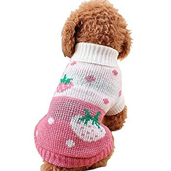 CHBORCHICEN Pet Dog Sweaters Classic Knitwear Turtleneck Winter Warm Puppy Clothing Cute Strawberry and Heart Doggie Sweater *** You can find more details by visiting the image link. (This is an affiliate link) Teacup Dog Clothes, Chihuahua Sweater, Yorkie Clothes, Girl Dog Clothes, Classic Knitwear, Chihuahua Clothes, Pet Sweaters, Small Dog Sweaters, Cute Dog Clothes