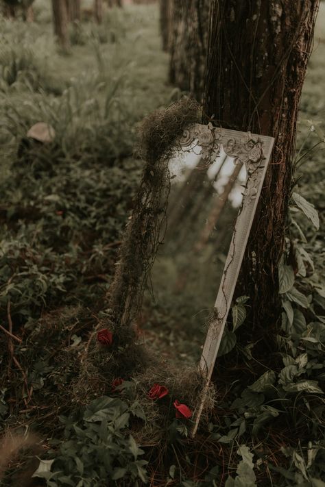 A mirror sitting next to a tree in a forest photo – Free Flower Image on Unsplash Mirror In Forest, Mirror Forest, Forest Mirror, Fairy Shoot, Business Aesthetics, Monster Romance, Style Roots, Kindle Unlimited Books, Mirror Photography