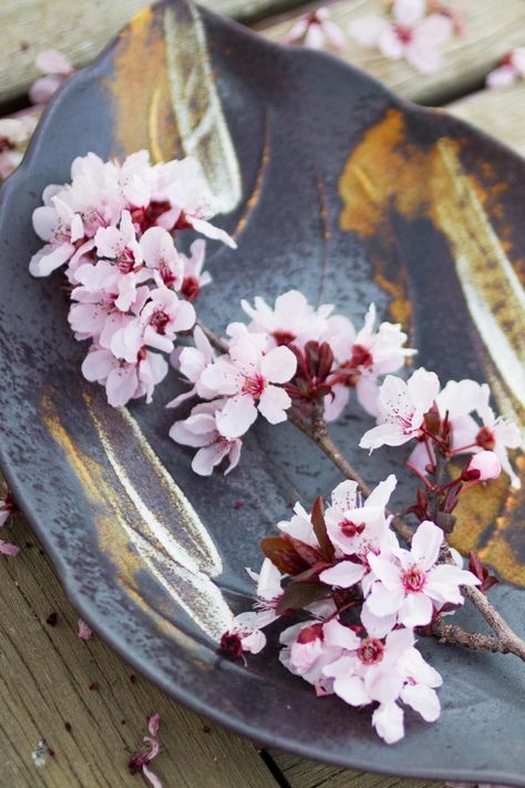 11 Popular Cherry Blossom Recipes (Japanese Sakura Recipes) - IzzyCooking Sakura Recipes, Matcha Mousse, Recipes Japanese, Flower Recipes, Cherry Blossom Cake, Sakura Mochi, March Birth Flowers, Japanese Treats, Azuki Bean