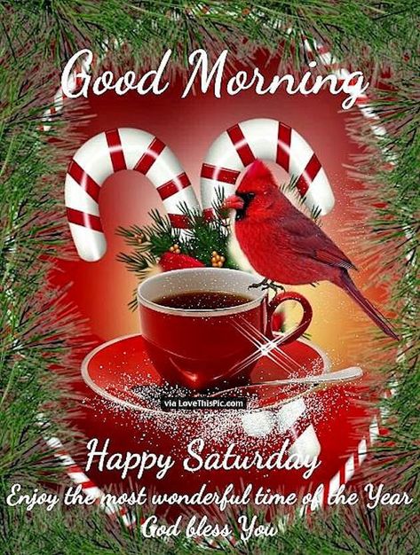 Happy Saturday Images, Saturday Greetings, Good Morning Christmas, Good Morning Winter, Saturday Blessings, Saturday Images, Morning Christmas, Good Morning Happy Saturday, Saturday Quotes