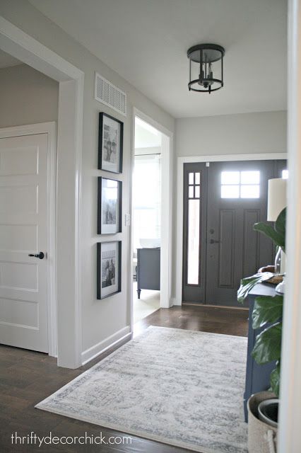 Foyer Decorating, Door Color, Paint Colors For Home, Style At Home, Cheap Home Decor, Home Fashion, Entryway Decor, The Door, Doors Interior