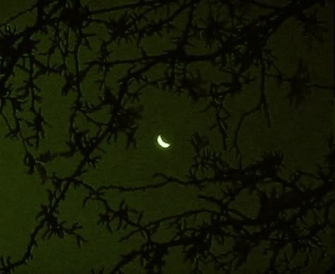 Deep Lake Aesthetic, Green Celestial Aesthetic, American Hogwarts, Green Space Aesthetic, Green Astronomy, Green Whimsigoth, Lake Log Cabin, Celestial Goth, Green Photoshoot