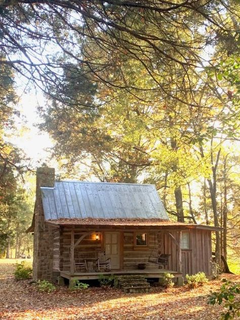 Cabins In The Woods Interior, Old Cabin Interior, Trapper Cabin, Rustic Hunting Lodge, Loft Layout, Dream Homestead, Farm Cabin, Airbnb Business, Pine Cabin