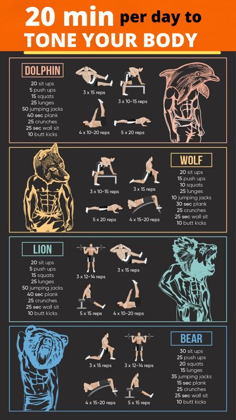 Animal Workout, Calisthenics Workout Plan, Workout Plan For Men, Trening Sztuk Walki, Gym Workout Planner, Muscle Abdominal, Full Body Workout Routine, Gym Workout Chart, Workout Routine For Men