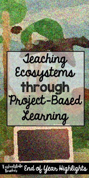 Elementary Science Projects, Integrate Art, Chrome Books, Ecosystems Projects, Technology Museum, School Science Projects, Problem Based Learning, 4th Grade Science, 5th Grade Science